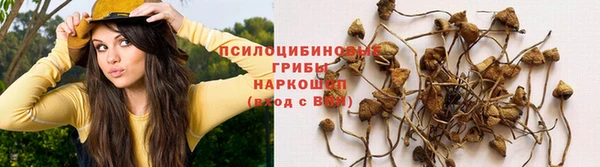 СК Балахна