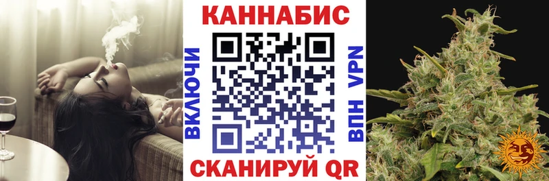 kraken ССЫЛКА  Новая Ладога  Каннабис индика 